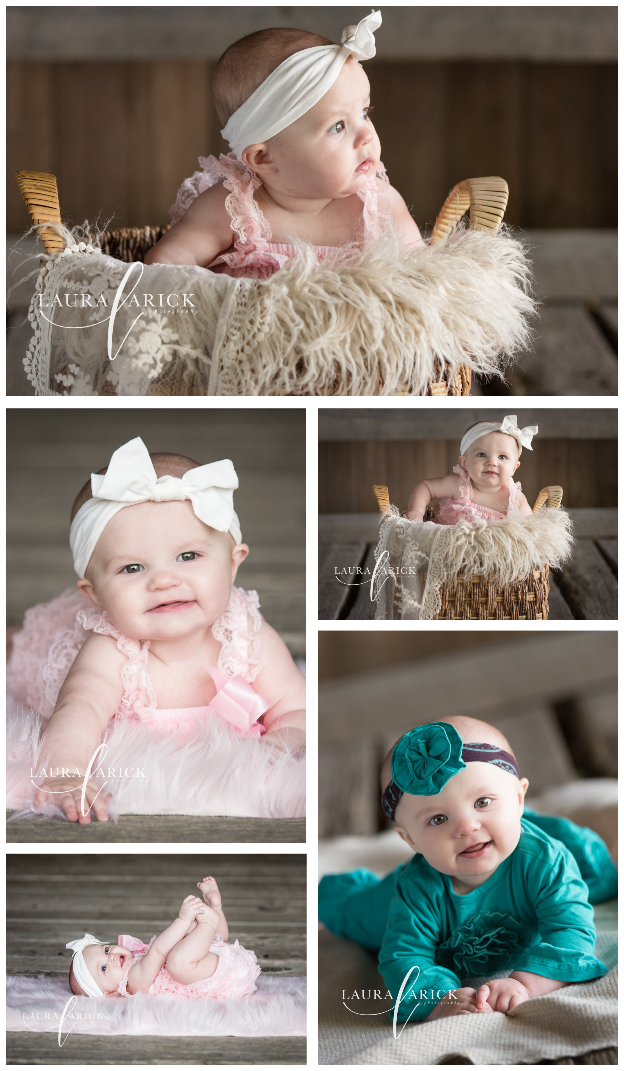 6 month milestone session Laura Arick Photography