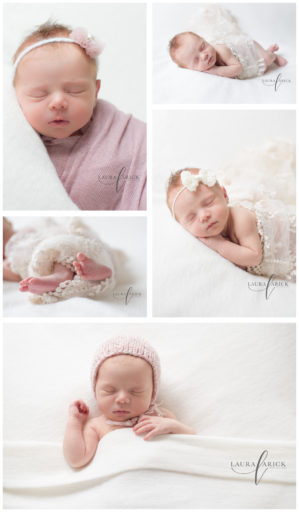 Newborn Portraits